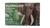 Simulation Electric Elephant