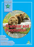 FOCUS GRAMMAR & PUNC. BOOK - 2